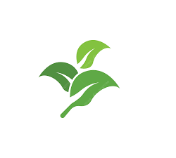Green Accounting
